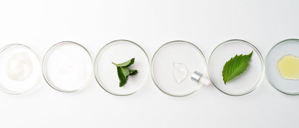 Inside the Formula: The Key Ingredients That Make a Difference in I Belli Capelli Products
